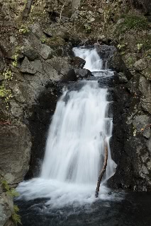 「愛染の滝」のサムネイル画像