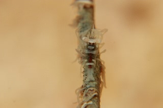 「無題」のサムネイル画像