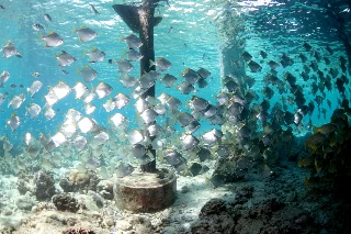 「無題」のサムネイル画像