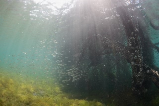 「無題」のサムネイル画像