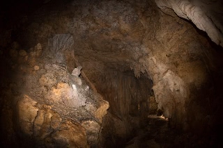 「無題」のサムネイル画像
