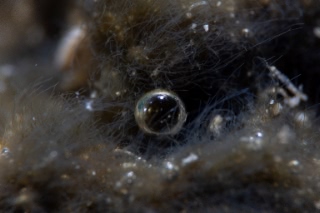 「無題」のサムネイル画像