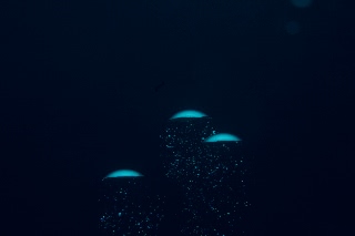 「ダイバーの呼気」のサムネイル画像
