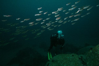 「無題」のサムネイル画像