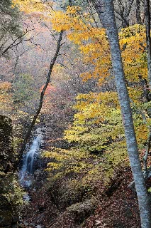 「無題」のサムネイル画像