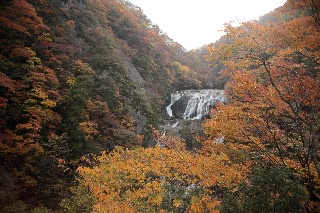 「袋田の滝」のサムネイル画像