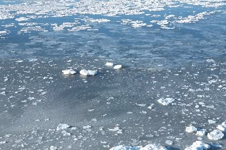 「無題」のサムネイル画像