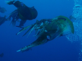 「痛っ」のサムネイル画像