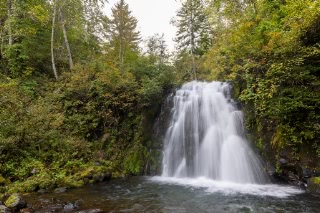 「雨霧の滝」のサムネイル画像