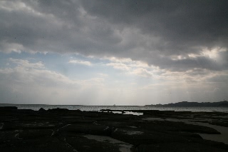 「無題」のサムネイル画像