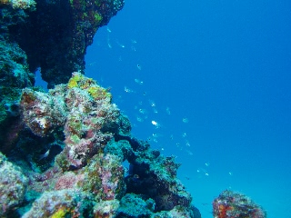 「無題」のサムネイル画像