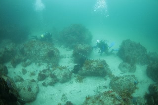 「リールワークの練習風景」のサムネイル画像