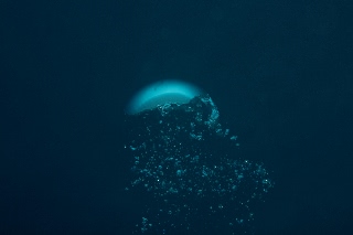 「ダイバーの呼気」のサムネイル画像