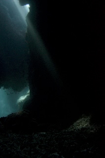 「無題」のサムネイル画像