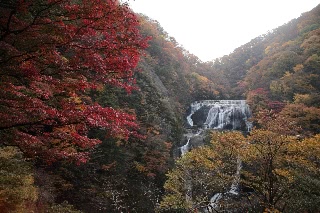 「袋田の滝」のサムネイル画像
