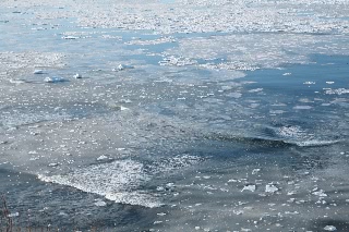 「無題」のサムネイル画像