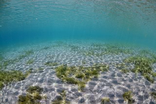 「無題」のサムネイル画像