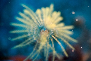 「無題」のサムネイル画像