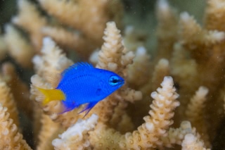 「無題」のサムネイル画像