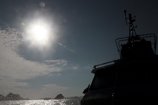 「無題」のサムネイル画像