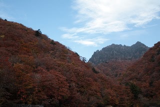 「無題」のサムネイル画像