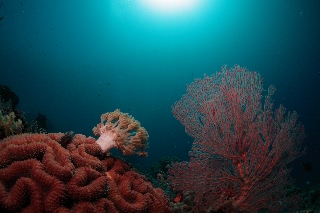 「無題」のサムネイル画像