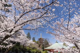 「無題」のサムネイル画像