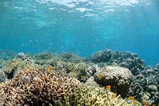 「無題」のサムネイル画像