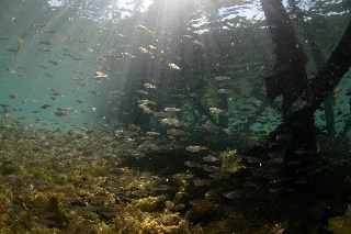「無題」のサムネイル画像
