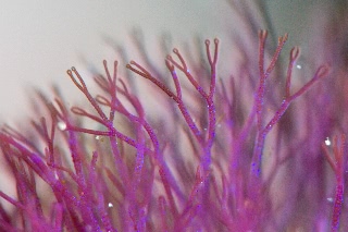 「無題」のサムネイル画像