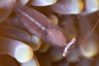 「無題」のサムネイル画像