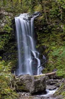 「深緑の滝」のサムネイル画像
