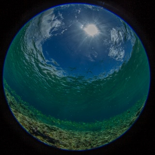 「無題」のサムネイル画像