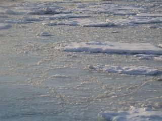 「流氷」のサムネイル画像