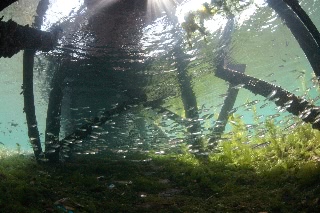 「無題」のサムネイル画像