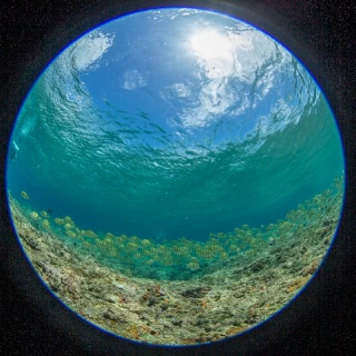 「無題」のサムネイル画像