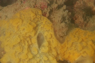 「無題」のサムネイル画像