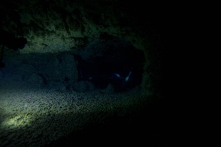 「無題」のサムネイル画像