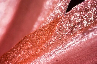 「ダイヤモンドリリー(ネリネ)」のサムネイル画像