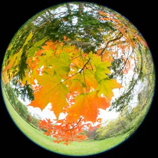 「無題」のサムネイル画像