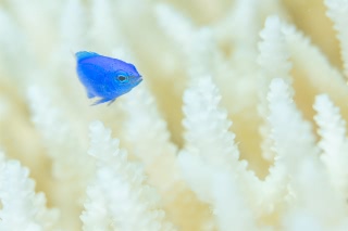 「無題」のサムネイル画像