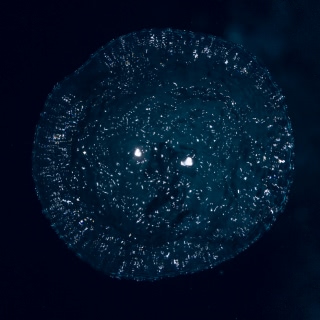 「無題」のサムネイル画像