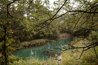 「赤沼」のサムネイル画像