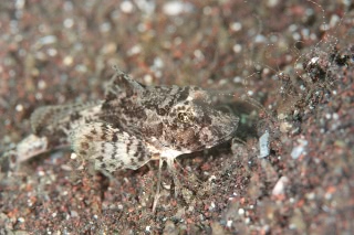 「無題」のサムネイル画像