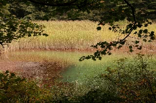 「みどろ沼」のサムネイル画像