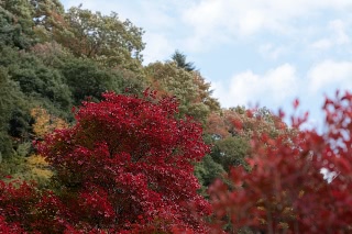 「無題」のサムネイル画像