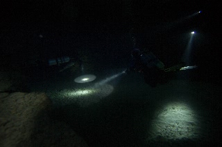 「無題」のサムネイル画像