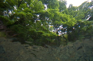 「無題」のサムネイル画像