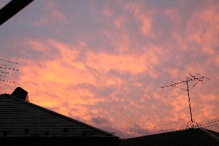 「無題」のサムネイル画像