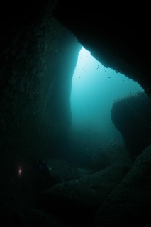「無題」のサムネイル画像